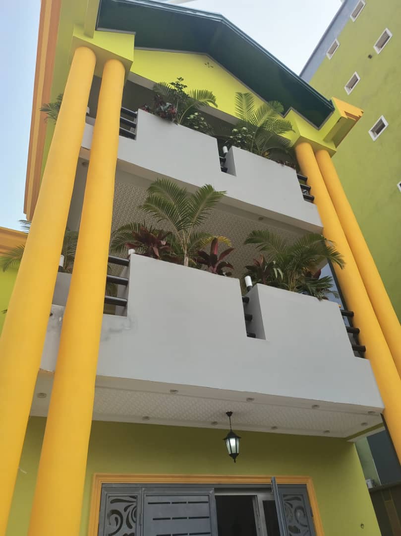 Peinture professionnelle